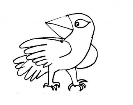 Cartoon birds coloring pages