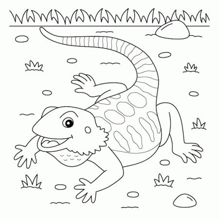 Premium Vector | Bearded dragon animal coloring page for kids