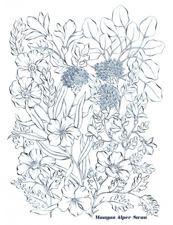 Garden Coloring Page — MAAYAN ALPER-SWAN