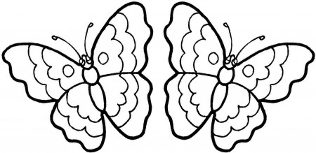 Of Flowers And Butterflies - Coloring Pages for Kids and for Adults
