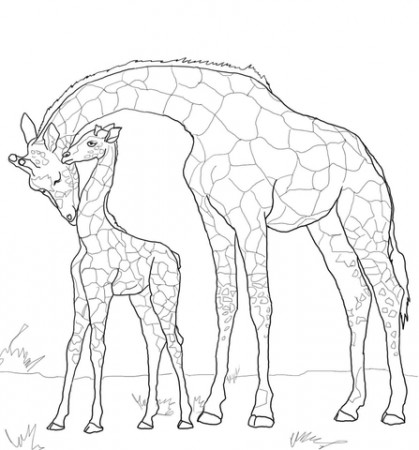Mother And Baby Giraffe Coloring Page - Free Printable Coloring Pages for  Kids
