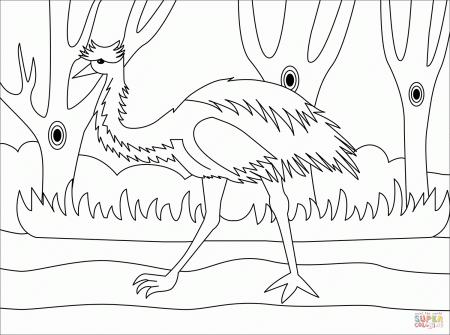 Emu coloring page | Free Printable Coloring Pages