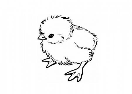 Chick Coloring Page - Best Coloring Pages For Kids