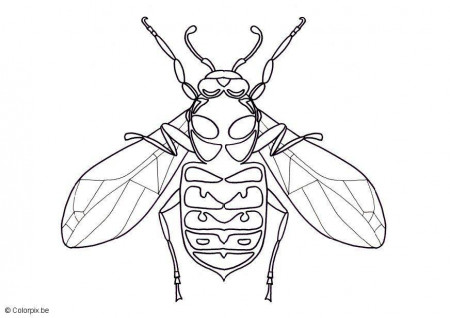 Coloring Page wasp - free printable coloring pages