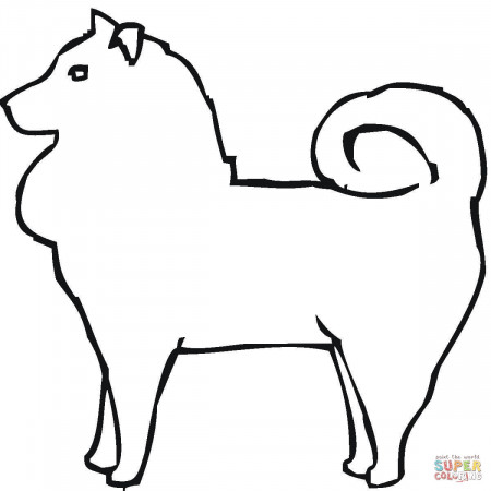 Pomeranian coloring page | Free Printable Coloring Pages