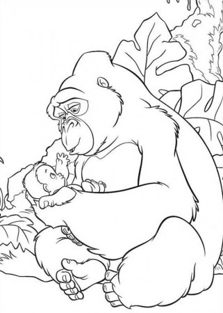baby gorilla coloring pages - Clip Art Library