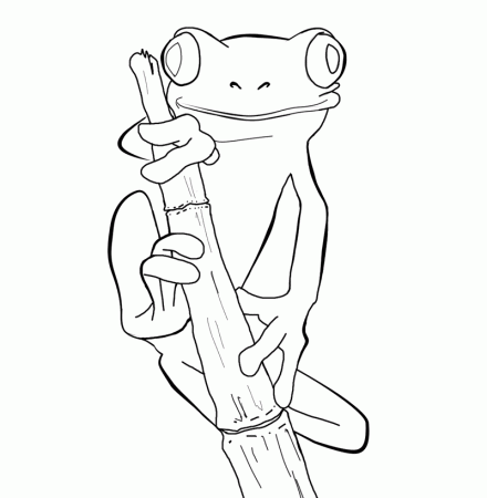 Red Eyed Tree Frog Coloring Page - Coloring Pages for Kids and for ...