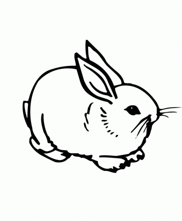 Baby Bunny For Kids - Coloring Pages for Kids and for Adults