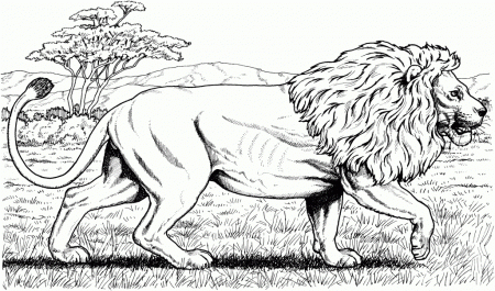 Amazing Realistic Jungle Animal Coloring Pages Realistic Coloring ...
