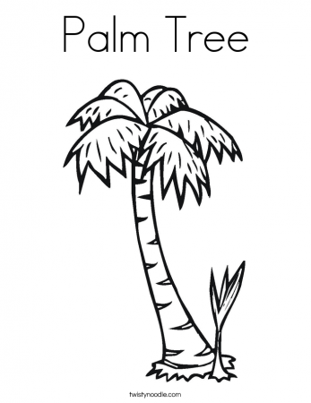 Palm Tree Coloring Page - Twisty Noodle