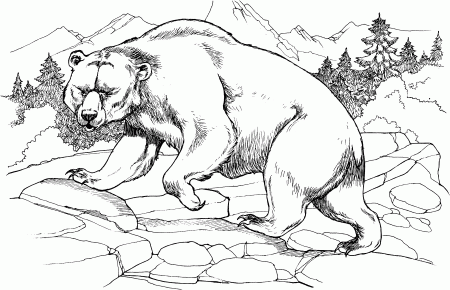 Black Bear Coloring Page - Coloring Pages for Kids and for Adults