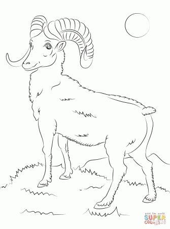 Mountain Bighorn Sheep coloring page | Free Printable Coloring Pages
