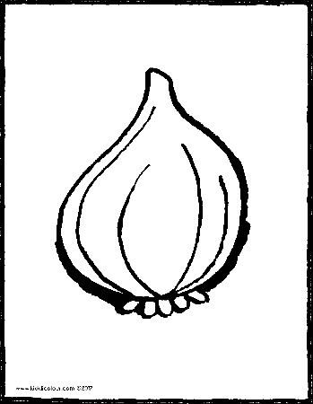 onion - kiddicolour