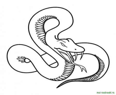 Online coloring pages Coloring pageSharp fangs of the snake the snake, Coloring  pages website.