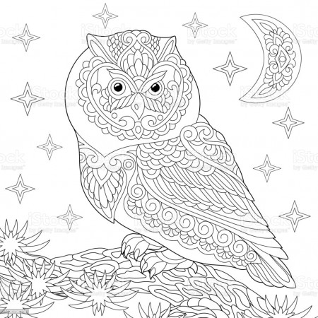 Coloring Page Of Owl And Night Sky With A Moon Stock Illustration -  Download Image Now - iStock