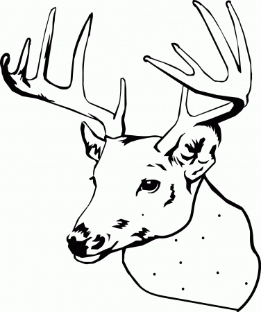Elk Coloring Pages Elk Coloring Pages Bull Elk Coloring Pages ...