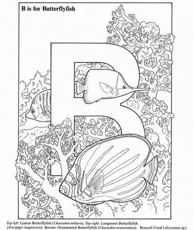 Dover Colouring Pages | Kiddley