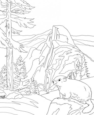 Yosemite National Park Coloring Page - Free Printable Coloring Pages for  Kids