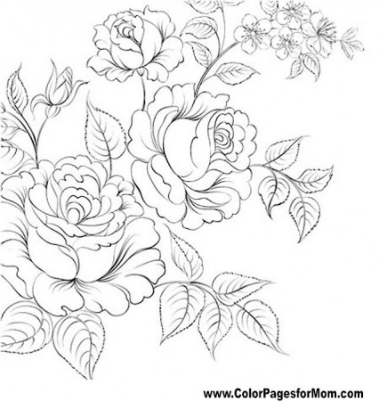 Coloring Pages For Adults Flower