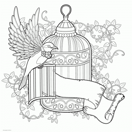 Free Adult Coloring Sheets. A Bird || COLORING-PAGES-PRINTABLE.COM
