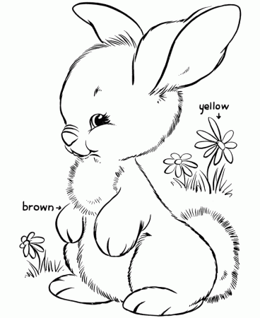 Easter Bunny Coloring Pages | Coloring Pages For Child | Kids 