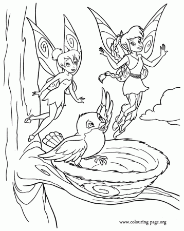 Tinker Bell - Tinker Bell, Fawn and a baby bird coloring page