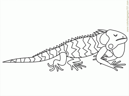 Coloring Pages Mexican Coloring Iguana3 (Countries > Mexico 