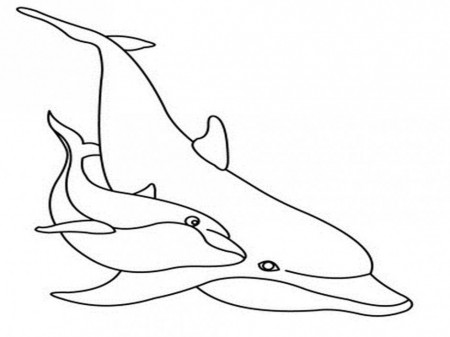Winter The Dolphin Coloring Pages Winter The Dolphin Coloring 