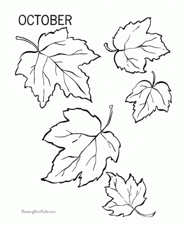 Leafs Coloring Pages 7 | Free Printable Coloring Pages