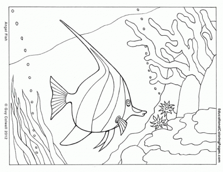 Printable Ocean Animals Coloring Pages | Animal Coloring Pages for 