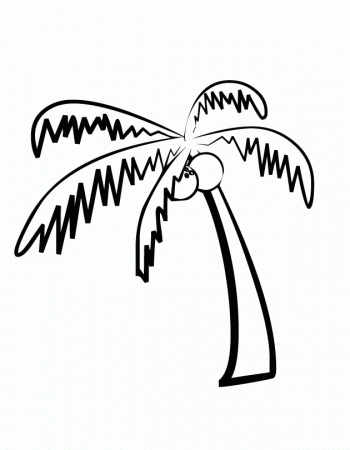 Palm-Tree.jpg