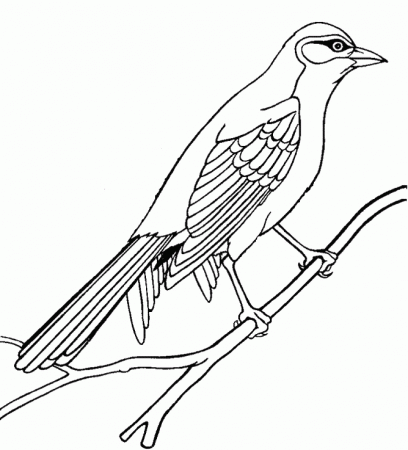 Cute Bird Coloring Pages - Free Printable Pictures Coloring Pages 
