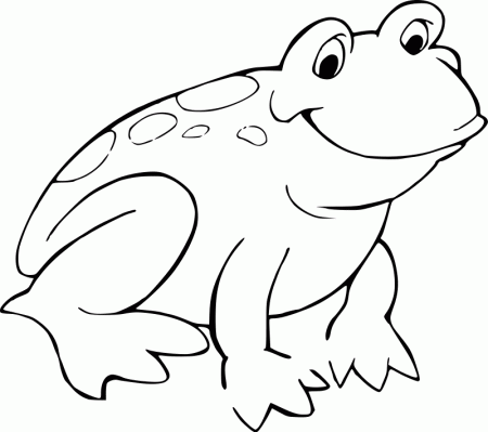 Frog Pictures To Color For Kids - www.