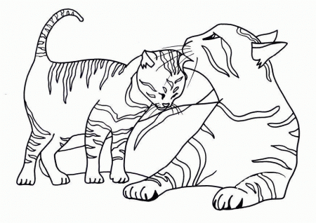 black cat coloring pages halloween : Printable Coloring Sheet 