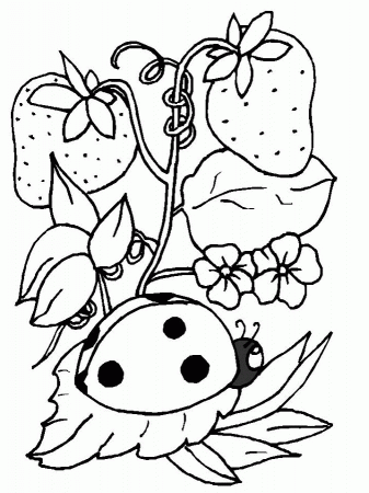 Spring Coloring Pages Free Printable | Free coloring pages