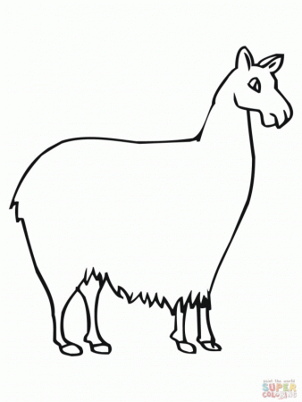 Llama South American Camelid Coloring Online Super Coloring 294693 