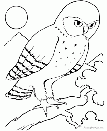 Bird Printable Coloring Pages | HelloColoring.com | Coloring Pages