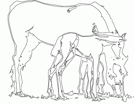 horse coloring page animals town color sheet