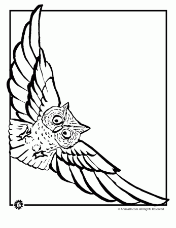 Flying Owl Line Drawing | Clipart Panda - Free Clipart Images