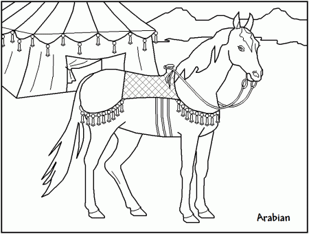 FREE Printable Horse Coloring Pages - great for kids, teachers and 