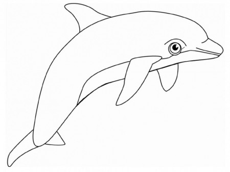Dolphin Printable Coloring Pages Dolphin Coloring Pages 212538 