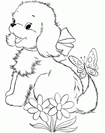 Cute Puppy And Butterfly Beatifull Coloring Page |Dog coloring 