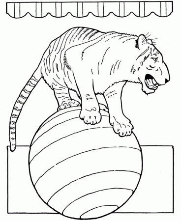 circus-animal-coloring-pages- 
