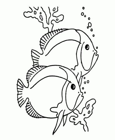 tropical fish Colouring Pages (page 3)