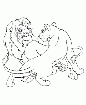 Wild Animal Coloring Pages | Male and Female Lions Coloring Page 