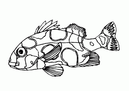 Coloring Page - Fish animals coloring pages 61