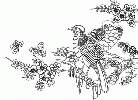 Adult Coloring Pages Flowers | Coloring Pages