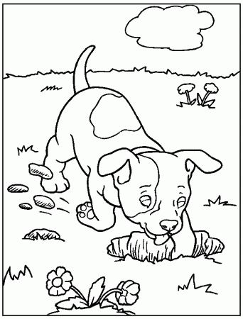 Dog Coloring Pages 51 271067 High Definition Wallpapers| wallalay.