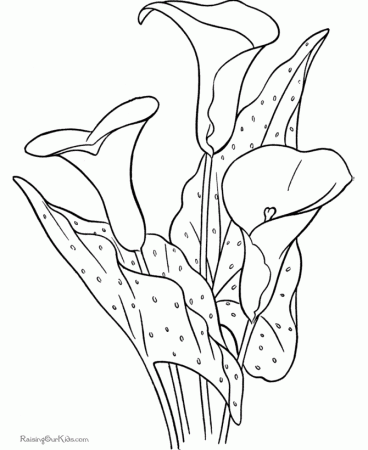 Flower coloring pages sheet 006