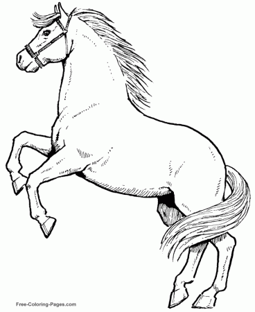 Horses coloring sheets and pictures - 037